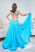 Professional bellydance costume (Classic 277 A_1)